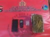Polres Sumbawa Amankan 1,5 Kg Ganja