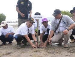 Penanaman 35.000 Bibit Mangrove, Bupati : Momentum Pelestarian Lingkungan