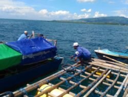 Pulau Kaung Ditetapkan Jadi Kampung Perikanan Budidaya