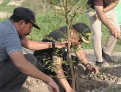 Persiapan MXGP 2023, Pemda Sumbawa Tanam Ratusan Pohon di Samota