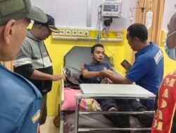 Evakuasi Sarang Tawon, Satu Petugas Damkar Dilarikan ke Rumah Sakit