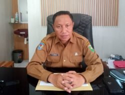 Dinas Sebut Produksi Lokal Belum Cukupi Kebutuhan Daging Ayam di Sumbawa