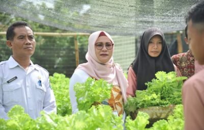 Panen Perdana Hidroponik di SMPN 2 Moyo Hilir, Wabup Harapkan Berkelanjutan