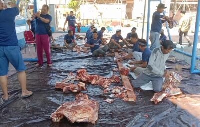 Idhul Adha 1444H, Polres Sumbawa Sembelih 15 Ekor Hewan Kurban