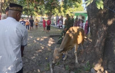 Kodim 1607/Sumbawa Potong 5 Ekor Hewan Kurban