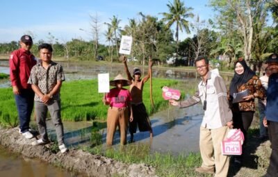 Hari Kedua Kirab Pemilu 2024, KPU Sumbawa Sasar Petani di Sawah