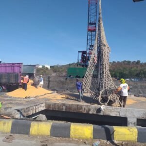 Biji Jagung Sumbawa Masih Penuhi Kebutuhan Pakan Dalam Negeri