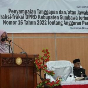 Pemda Beri Perhatian Pembayaran Honorarium Tenaga Honorer Daerah Terpencil