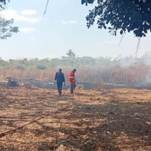 Damkartan Sumbawa Punya 1.532 Relawan Pemadam Kebakaran