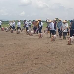 Didamping Bupati dan Wakil Bupati, Menteri Pertanian RI Tanam Jagung di Samota