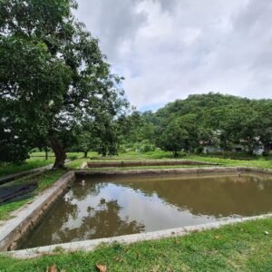 Dislutkan Sebut BBI Rhee Butuh Revitalisasi