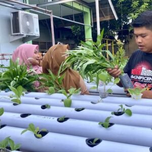Inovasi Sistem Hidroponik untuk Intervensi Stunting di Kelurahan Lempeh