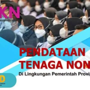 Cara Terbaru untuk Memeriksa Data Non ASN Tahun 2024 di BKN