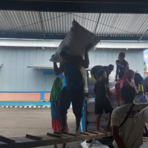 Stabilkan Harga Jagung, Bulog Bima Terapkan Dua Skema Pembelian