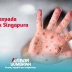 Waspada Flu Singapura