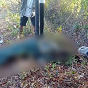 Kecelakaan di Jalan Raya Lintas Sumbawa – Lunyuk, Satu Pengendara Tewas