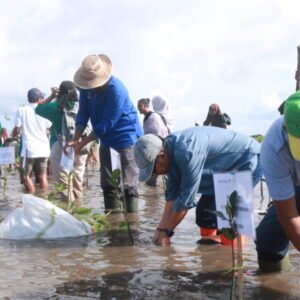 DLH Fokus Hijaukan Pesisir Cegah Abrasi