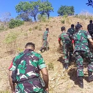 Koramil 06/Lape Tebar 1.000 Bibit Pohon Asam di Wilayah Tandus