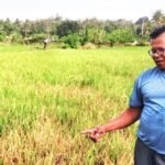 Sekretaris Komisi II DPRD Sumbawa, Ridwan SP,