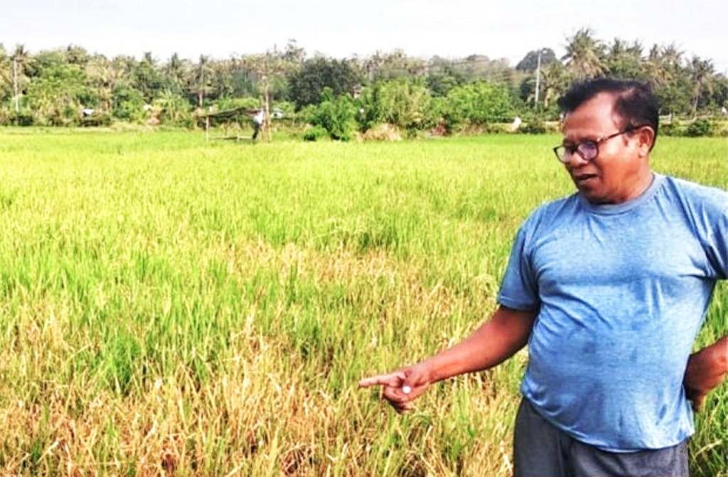 Sekretaris Komisi II DPRD Sumbawa, Ridwan SP,