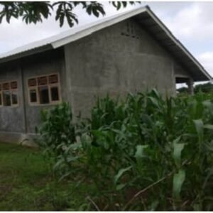 Bangunan SD Bunga Eja di Empang Terbengkalai