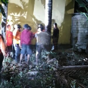 Diduga Depresi, Seorang Pria Nekat Minum Racun di Atas Pohon Kelapa