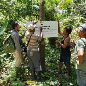 Warga Adat Suku Berco Pasang Tanda di Makam Leluhur, Tanda Protes kepada PT. AMNT