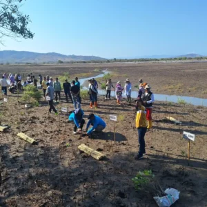 Sambut Hari Sumpah Pemuda, Pjs. Bupati Pimpin Penanaman Mangrove di Pulau Nanga Sira