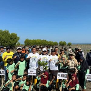 Pjs Bupati Sumbawa Pimpin Penanaman Mangrove di Pulau Bungin