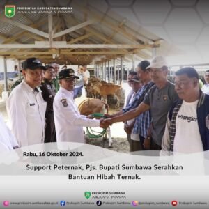Pjs. Bupati Sumbawa Serahkan Bantuan Hibah Ternak