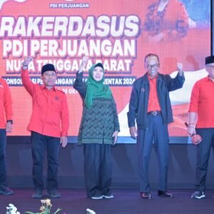Sekjen PDIP Ungkap Peta Daerah Dukungan Pemilih untuk Rohmi-Firin, 32 Hari Bergerak Jemput Kemenangan