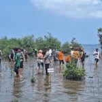 Pjs. Bupati Sumbawa Pimpim Penanaman Mangrove di Pulau Kaung