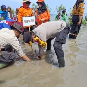 Kapolres Sumbawa Tanam Mangrove di Pulau Kaung