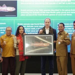 Bupati Dukung Kawasan Ekosistem Hiu Paus di Teluk Saleh Jadi Wilayah Konservasi