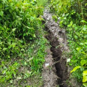 Terdampak Likuifaksi, Puluhan Warga Batulanteh Menggungsi