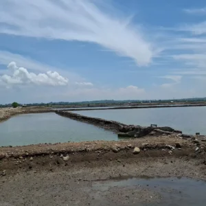 Pemkab Sumbawa Siapkan Lahan untuk Hilirisasi Udang