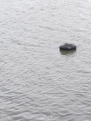 3 Anak Tenggelam di Sungai Padasuka, 2 Ditemukan Selamat dan 1 Masih Pencarian