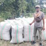 Terpaksa Jual ke Tengkulak, Petani Kesulitan Akses Mitra Bulog