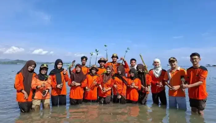 PT SMM dan UNSA Tanam 4.000 Mangrove di Sumbawa