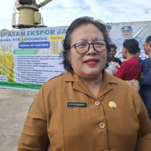 Ekspor Jagung Sumbawa ke Filipina Terus Berlanjut Hingga 20.000 Ton