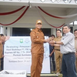 Bupati Sumbawa Lepas Lobster ke Habitat Aslinya