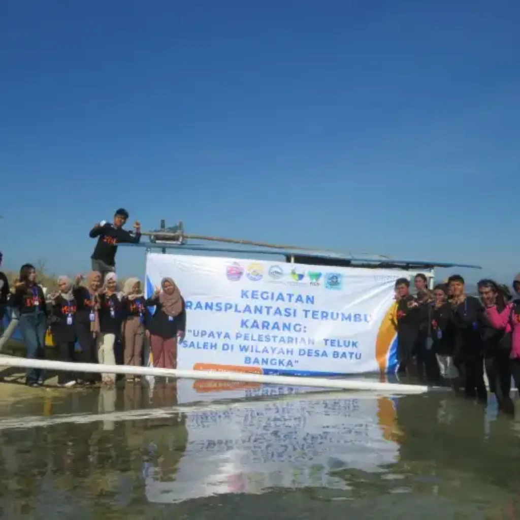 Transplantasi Terumbu Karang di Teluk Saleh, Mahasiswa UNSA Dorong Wisata Bahari