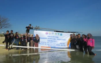 Transplantasi Karang di Teluk Saleh, Mahasiswa UNSA Dorong Wisata Bahari