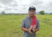 Dewan Jabir Apresiasi Program Penghijauan Bupati Sumbawa