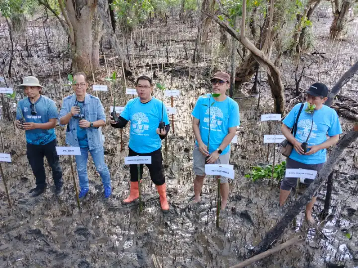 Total 6.000 bibit mangrove ditanam