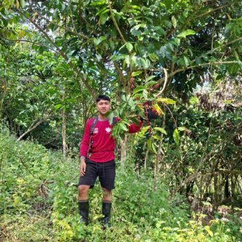 Ulang Tahun Sumbawa dan Harapan dari Baodesa : Infrastruktur Jalan untuk Jaga Nilai Hasil Pertanian