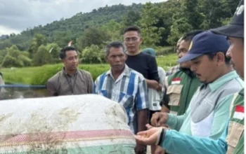 Bulog Mulai Serap Gabah Petani di Sumbawa Barat