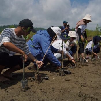 Bulan K3, Pertamina Patra Niaga Integrated Terminal Ampenan Tanam 1.000 Mangrove
