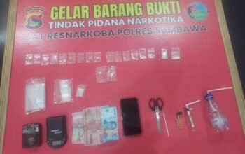Polisi Ringkus Terduga Bandar Narkoba di Plampang, 17 Poket Sabu Diamankan
