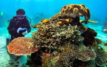 Lampaui Standar Kepatuhan Sosial dan Lingkungan, AMMAN Raih Predikat PROPER Hijau 2026 3 IMG 20260409 WA0017 - Lampaui Standar Kepatuhan Sosial dan Lingkungan, AMMAN Raih Predikat PROPER Hijau 2026